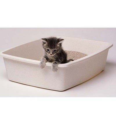 Cat Litter