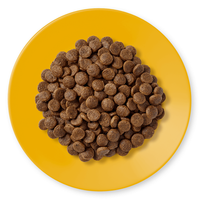 أبلاوز أكل رطب للقطط دجاج 400 غرام