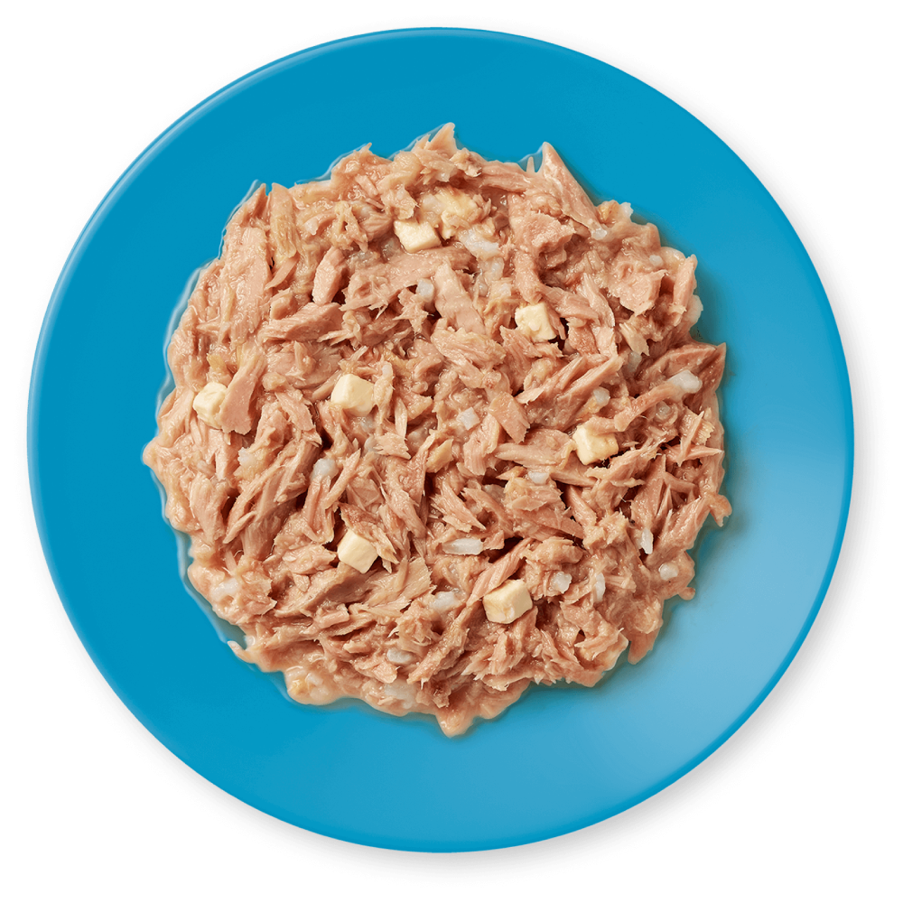 Applaws Tuna Fillet with Cheese in Broth 70g Tin