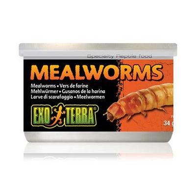 Exo Terra Mealworms 34g
