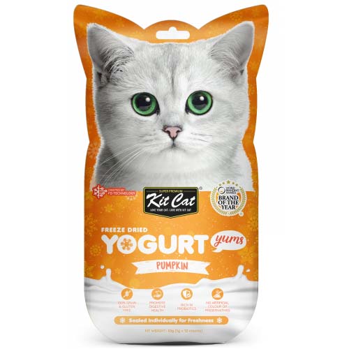 زبادي كيت كات المجفف بالتجميد بنكهة اليقطين 10 جرام