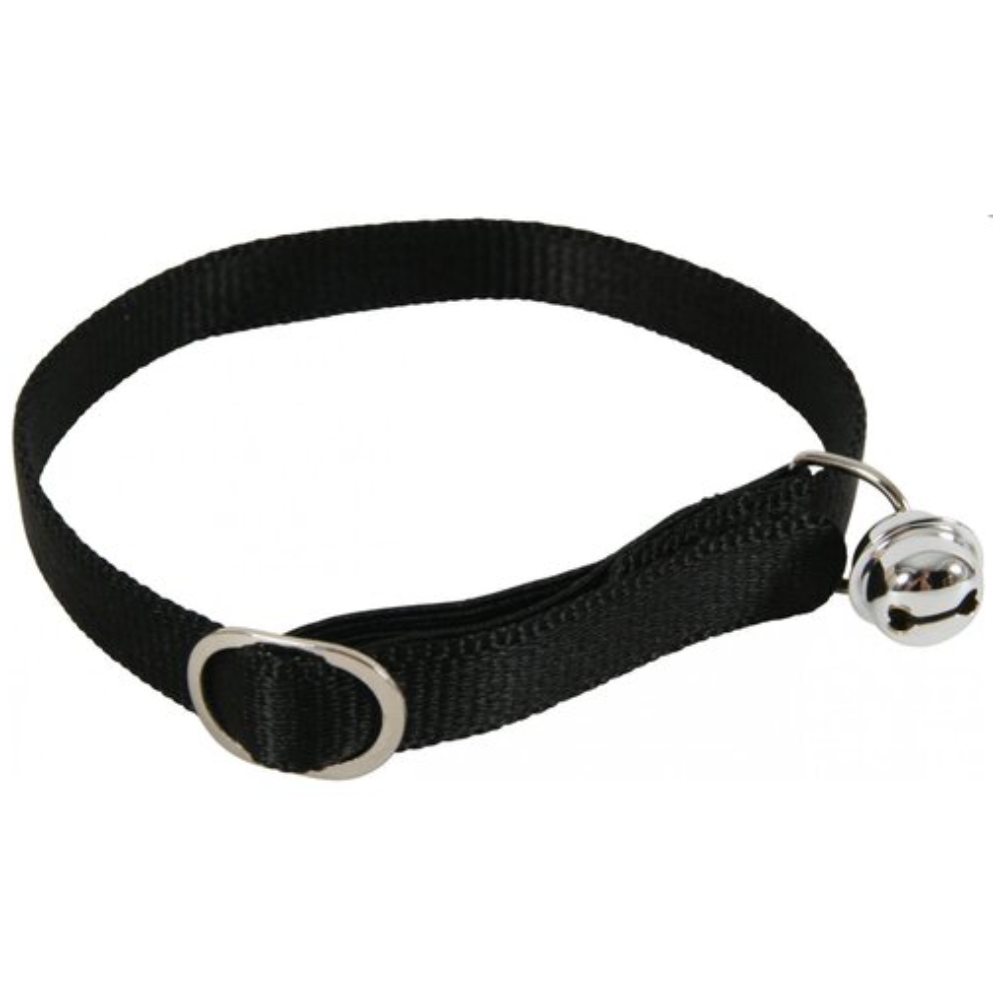 طوق قطط من زولوكس باللون الفيروزي 30 سم