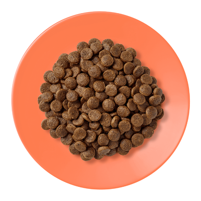 أبلاوز أكل جاف للقطط دجاج و سلمون 2 كيلو