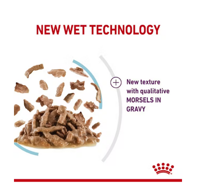 Royal Canin Sensory Feel