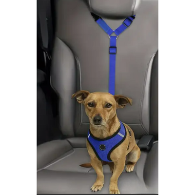 Dog Car Seat Belt