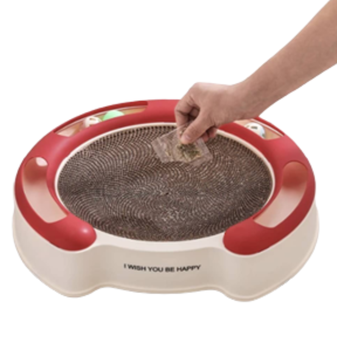 Round Cardboard Cat Scratcher with Balls Track