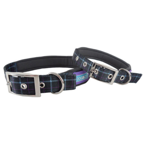 Dog & Co Blue Country Check Padded Collar