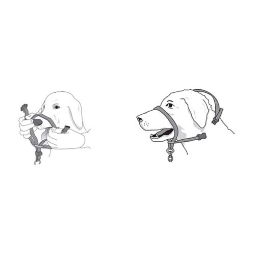Beaphar Gentle Leader for Large Dogs