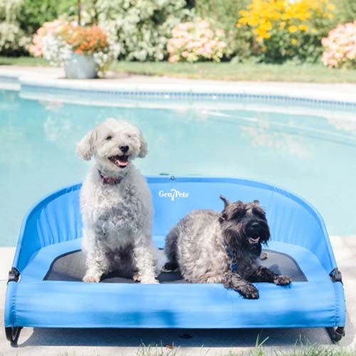Gen7Pets Cool-Air Cot Pet Bed Large 94cm