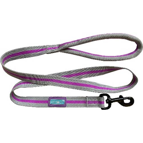 Hem & Boo 120cm Purple Sports Padded Lead