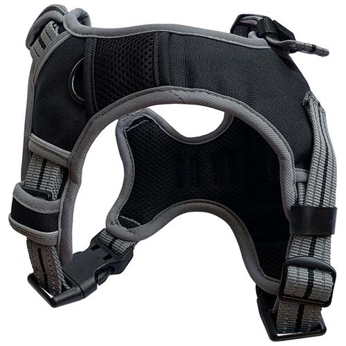 Dog & Co Black Sports Harness