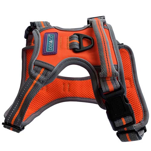 Dog & Co Orange Sports Harness
