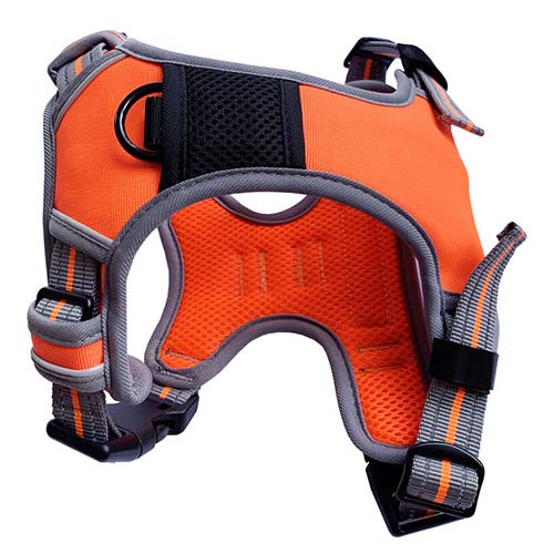 Dog & Co Orange Sports Harness