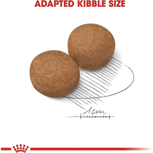 Royal Canin Maxi Adult