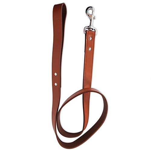 Ruff Maxx Leather Leash / Lead
