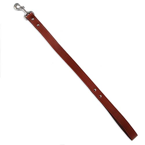 Ruff Maxx Leather Leash / Lead