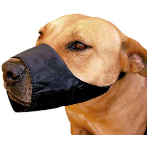 Nylon dog outlet muzzle