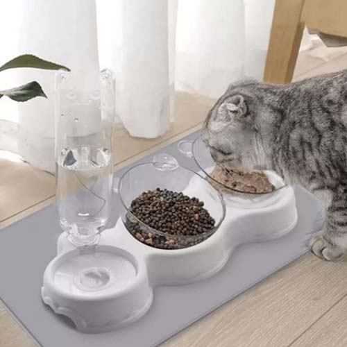 Double Bowl Food and Water Feeder with Bottle