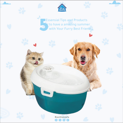 How to keep your pet hydrated in the summer!