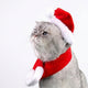 Pets.Love.Earth Festive Winter Hat & Scarf Set