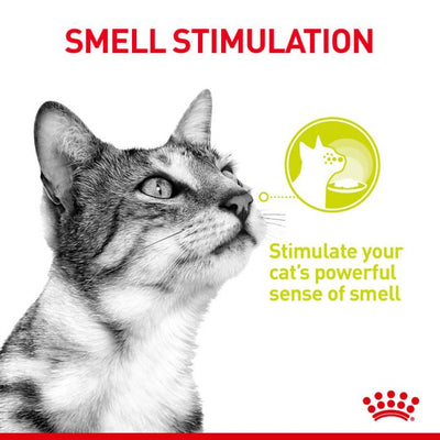 Royal Canin Sensory Smell