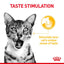 Royal Canin Sensory Taste