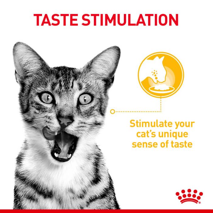 Royal Canin Sensory Taste