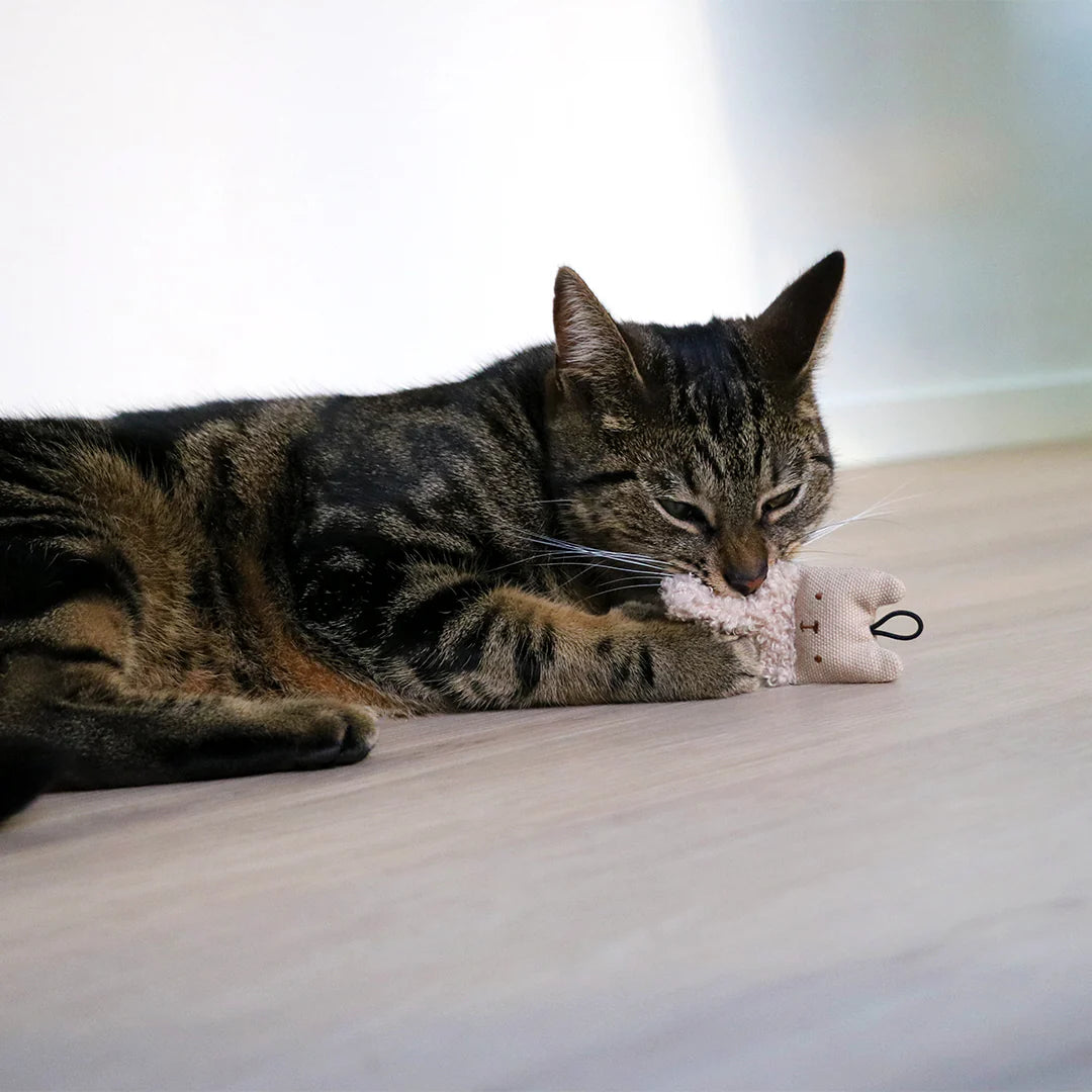 I Love Happy Pet Alfie Cat Toy