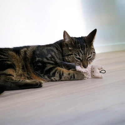 I Love Happy Pet Alfie Cat Toy