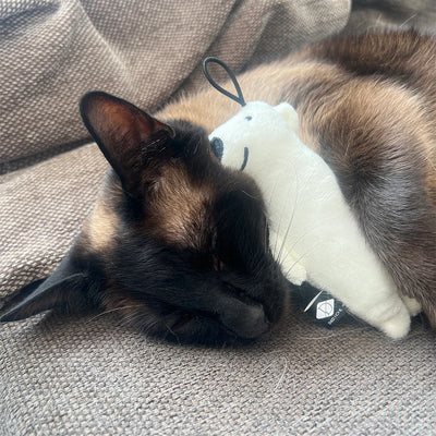 I Love Happy Cats Barry Bear Kicking Cushion Cat Toy