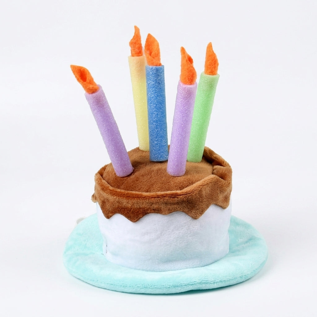 Pets.Love.Earth Birthday Cake Top Hat
