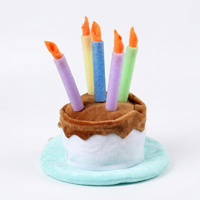 Pets.Love.Earth Birthday Cake Top Hat