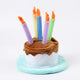 Pets.Love.Earth Birthday Cake Top Hat