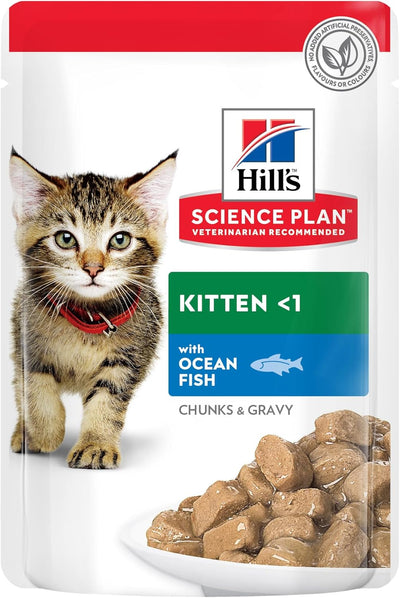 Hill's Science Plan Kitten Ocean Fish in Gravy