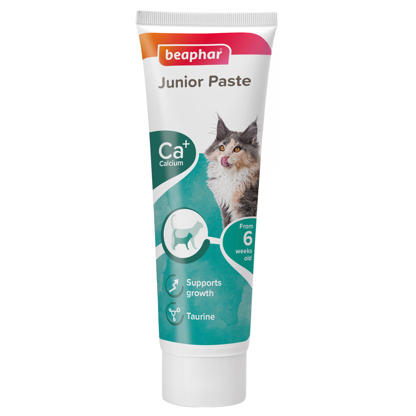 Beaphar Active Paste Junior Cat 100g