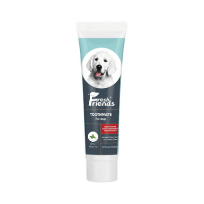 EXP 17FEB25 Fresh Friends Dog Toothpaste Mint Flavor 90g