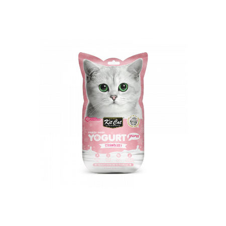 Kit Cat Freeze Dried Yogurt Strawberry 10g