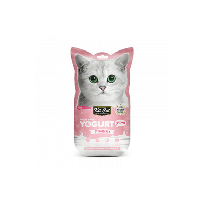 Kit Cat Freeze Dried Yogurt Strawberry 10g