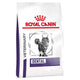 Royal Canin VHN Feline Dental 1.5kg