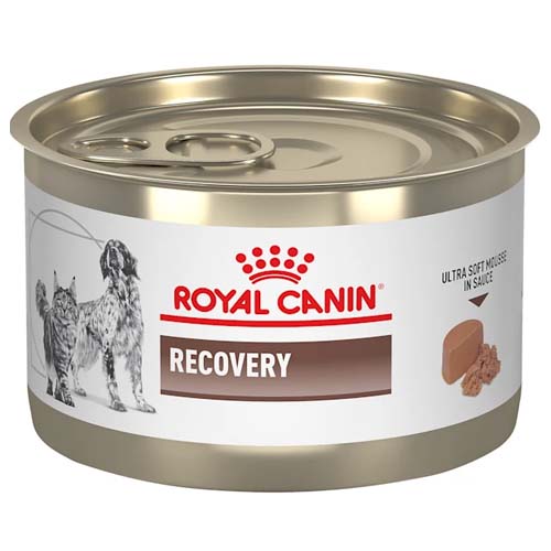 Royal Canin VHN Recovery 195g