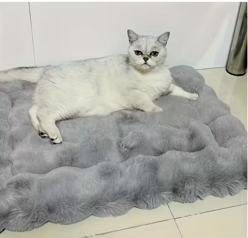 Super Soft Pet Cushion 45 x 40cm