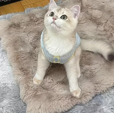 Super Soft Pet Cushion 45 x 40cm