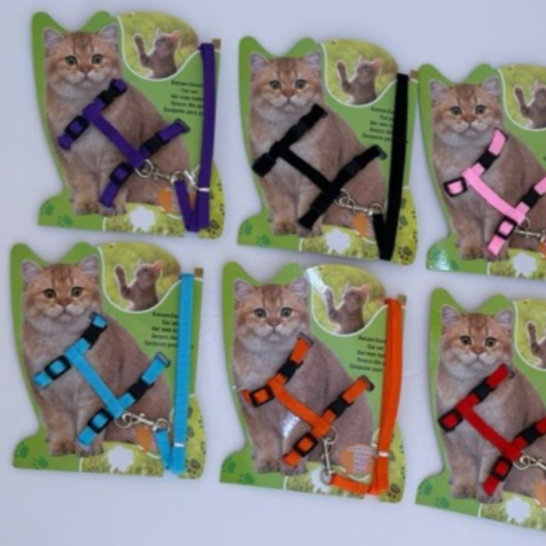 Cat Harness Set – Bayt Al Aleefa Pet House بيت الاليفة للتجارة