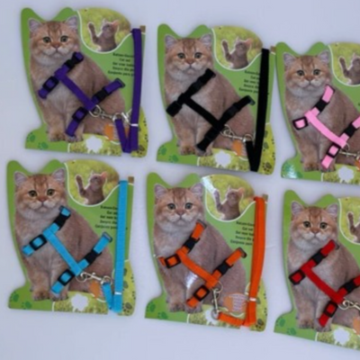 Cat Harness Set