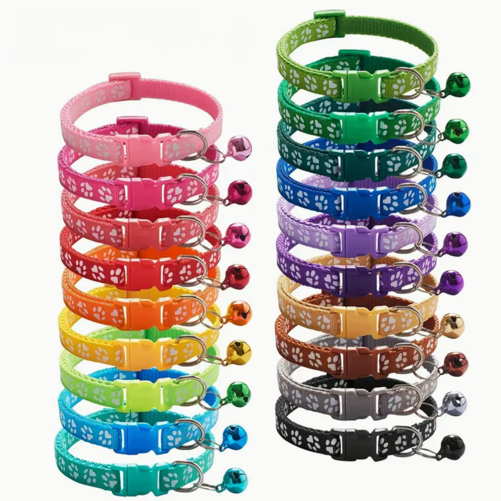 قطة ذات لون مشرق مع بصمات مخالب