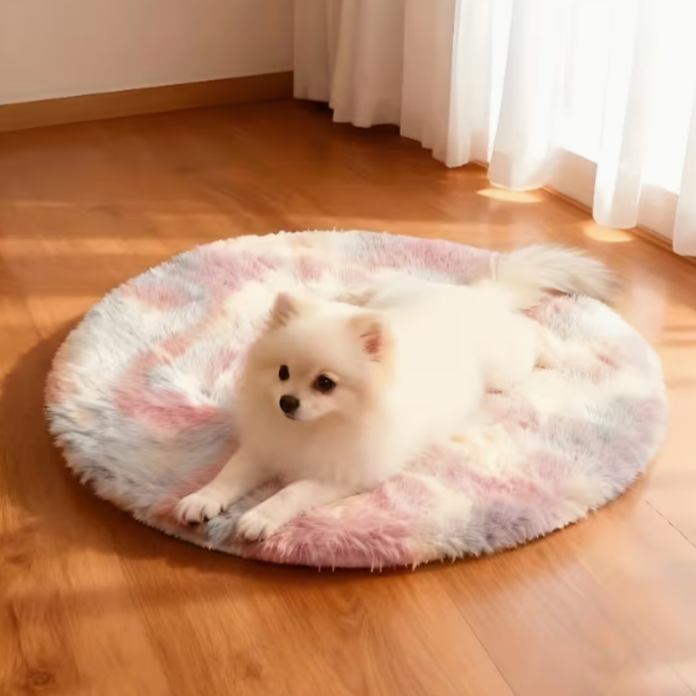 Colourful Floor Mat 40cm