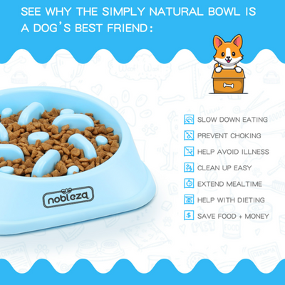 Nobleza Anti-Gulping Bowl 500ml Blue