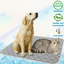 Cooling Mat