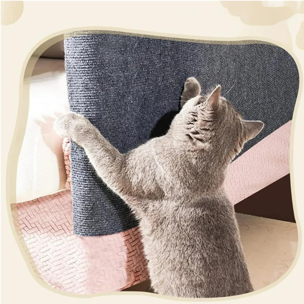 أداة خدش للأريكة