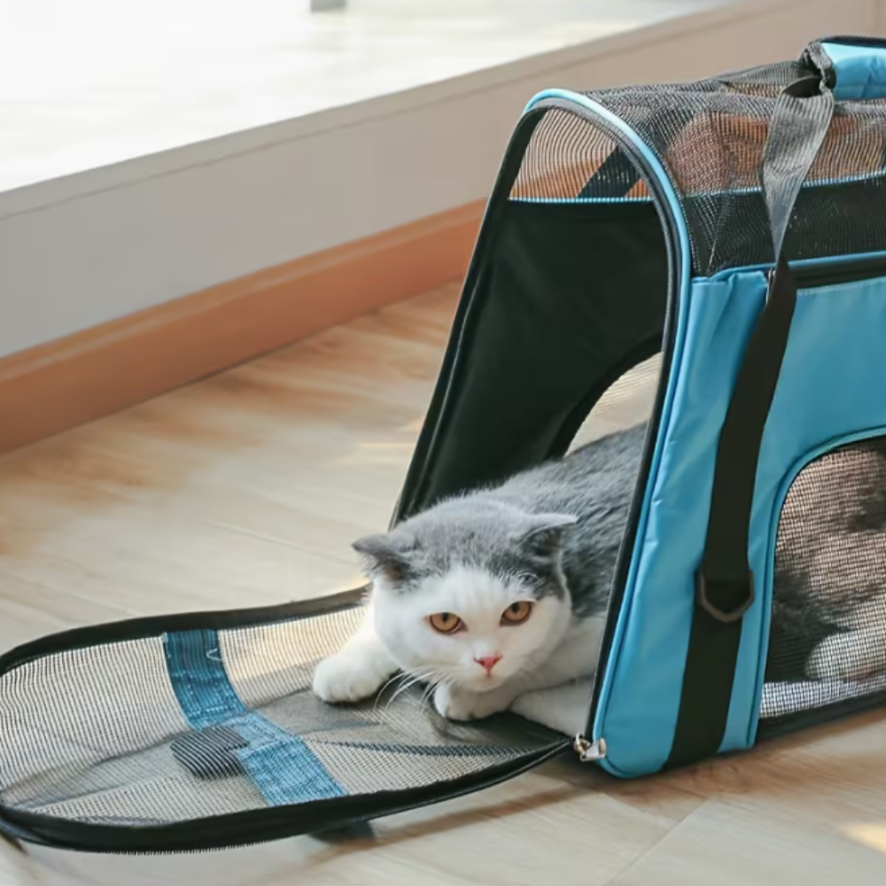 Small Soft Pet Carrier 37x26x25cm